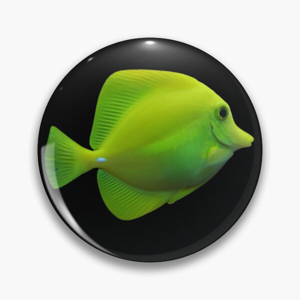 Item preview, Thorn-Tailed Fish designed and sold by kawrdesigns.