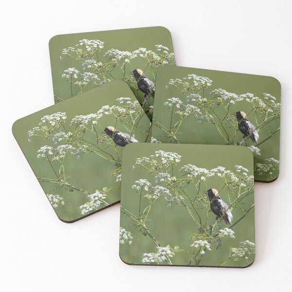 Item preview, Bobolink designed and sold by LartSelonGigi.