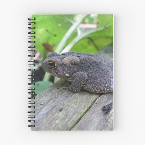 Item preview, Toad designed and sold by Phoebetales.