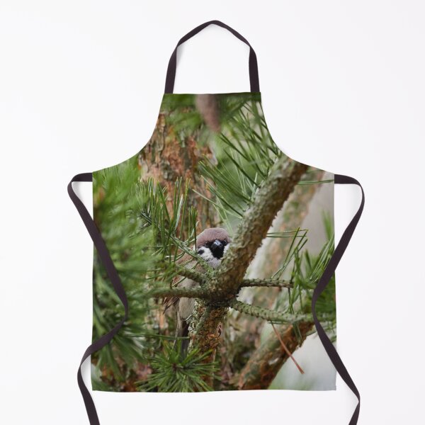 Item preview, Hiding in pine. Eurasian tree sparrow designed and sold by Jouko Lehto Photography.