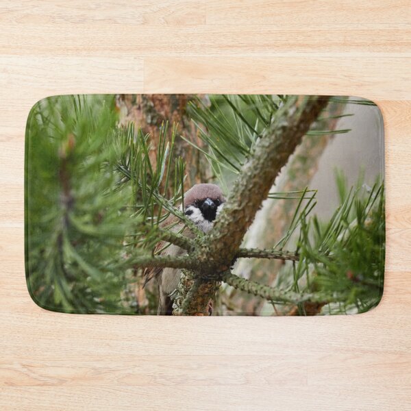 Item preview, Hiding in pine. Eurasian tree sparrow designed and sold by Jouko Lehto Photography.