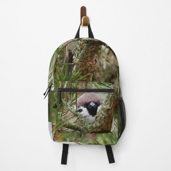 Item preview, Hiding in pine. Eurasian tree sparrow designed and sold by Jouko Lehto Photography.