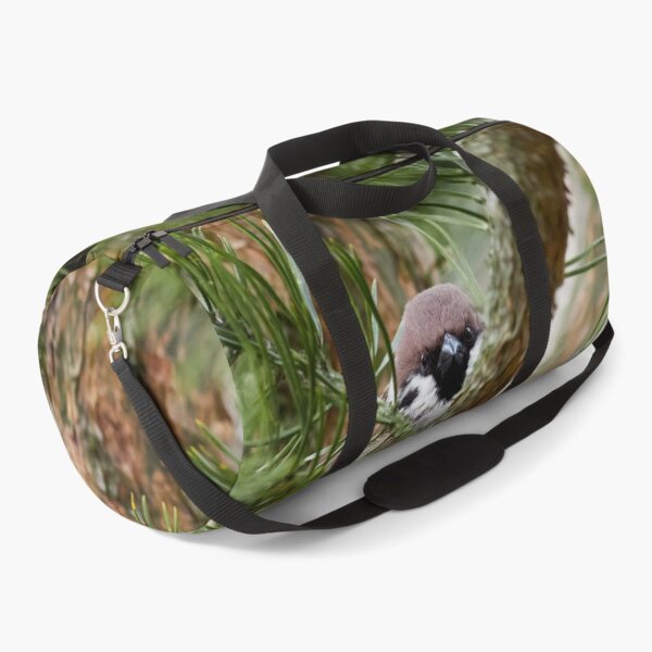 Item preview, Hiding in pine. Eurasian tree sparrow designed and sold by Jouko Lehto Photography.