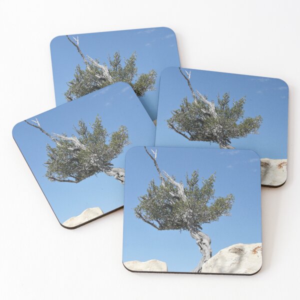 Item preview, Solitary Tree Growing Out Of The Rocks designed and sold by Sarah Tepe.