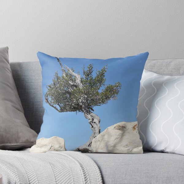 Item preview, Solitary Tree Growing Out Of The Rocks designed and sold by Sarah Tepe.