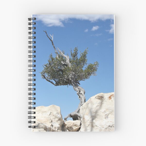 Item preview, Solitary Tree Growing Out Of The Rocks designed and sold by Sarah Tepe.