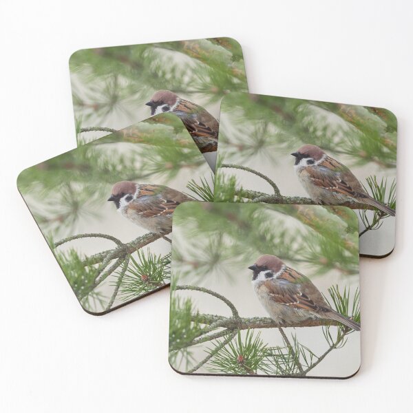Item preview, In all the glory. Eurasian tree sparrow designed and sold by Jouko Lehto Photography.