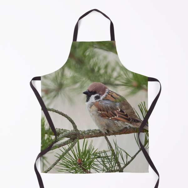 Item preview, In all the glory. Eurasian tree sparrow designed and sold by Jouko Lehto Photography.
