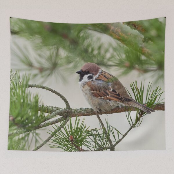 Item preview, In all the glory. Eurasian tree sparrow designed and sold by Jouko Lehto Photography.