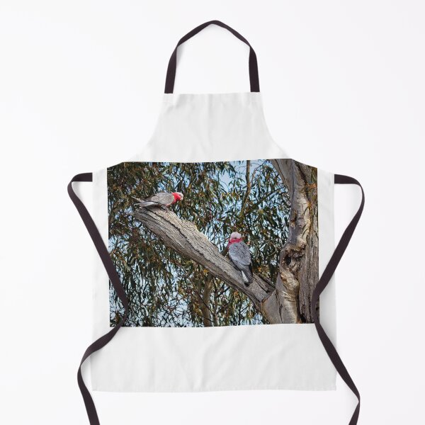 Item preview, Galahs, Canberra, Australia 4 designed and sold by StevenRalserPhoto.