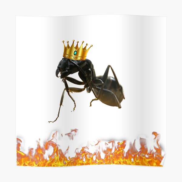 Ant King Posters Redbubble - ant roblox assassin with friends