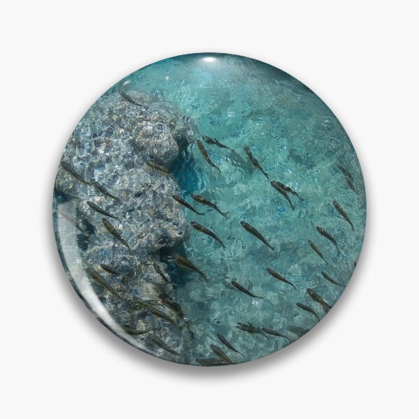 Item preview, Fishes in clear turquoise water designed and sold by Photostacia.
