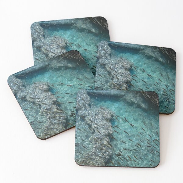 Item preview, Fishes in clear turquoise water designed and sold by Photostacia.