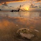 Anne's Warmth by PeaceInArt