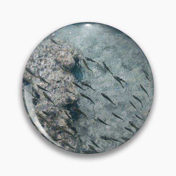 Item preview, Fishes in clear water designed and sold by Photostacia.