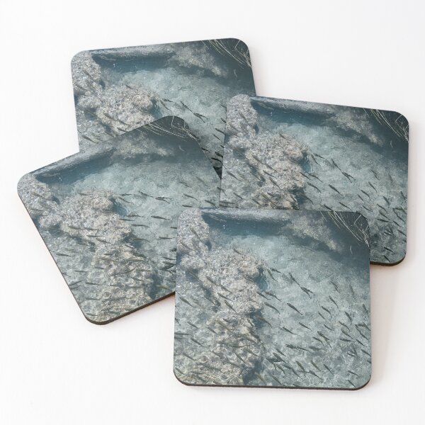 Item preview, Fishes in clear water designed and sold by Photostacia.