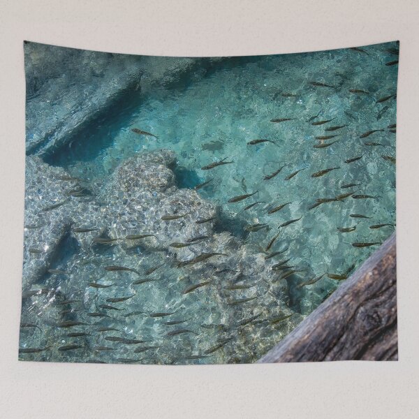 Item preview, Fishes in clear turquoise water designed and sold by Photostacia.
