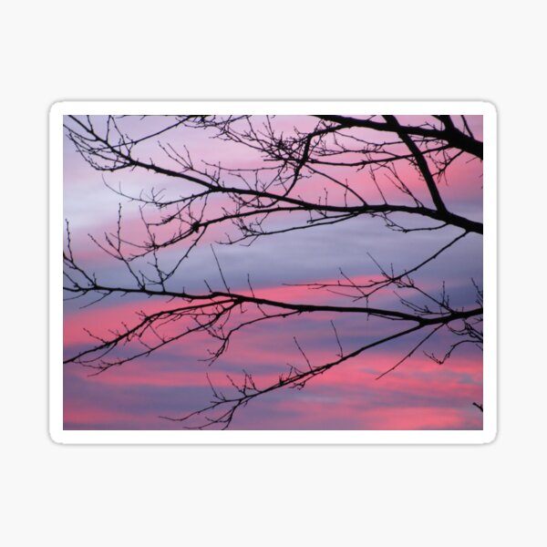 December Sunset Sticker