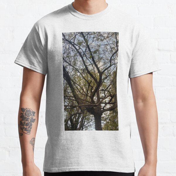 Item preview, Willow tree designed and sold by Bethlar.