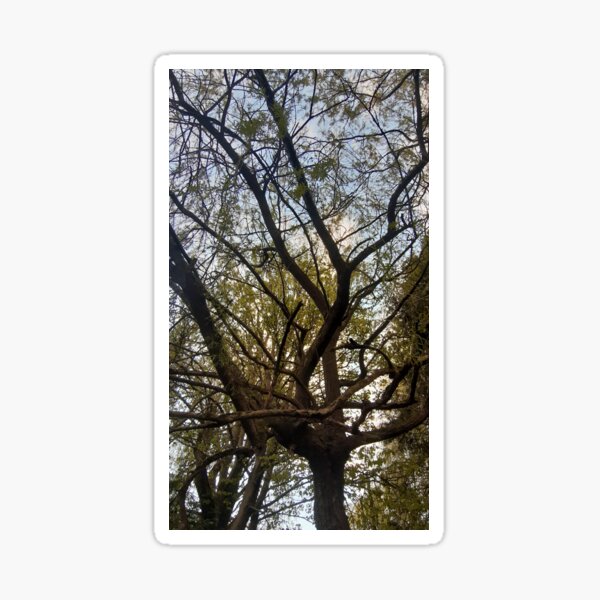 Item preview, Willow tree designed and sold by Bethlar.