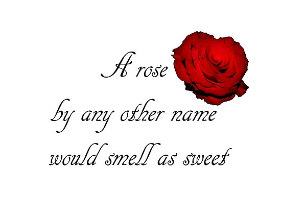 Romeo Und Julia Rose Zitat Romeo Und Julia Rose Zitat