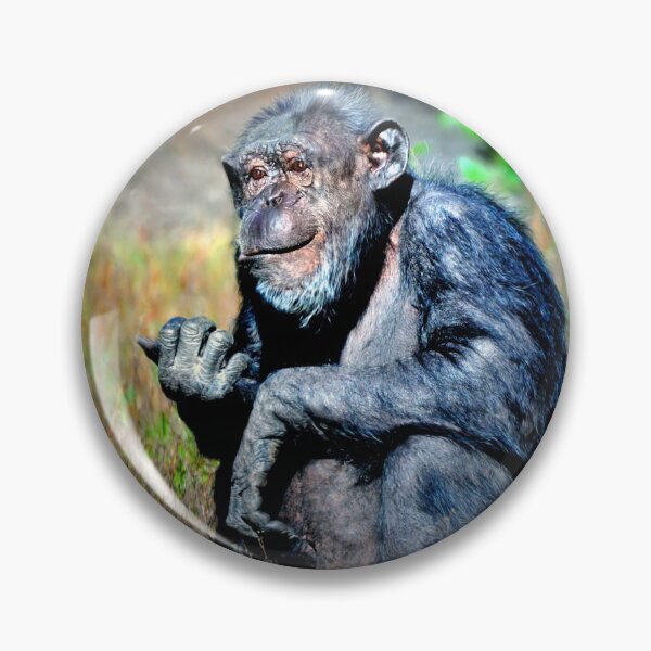 Item preview, Chimp designed and sold by Savannah Gibbs.