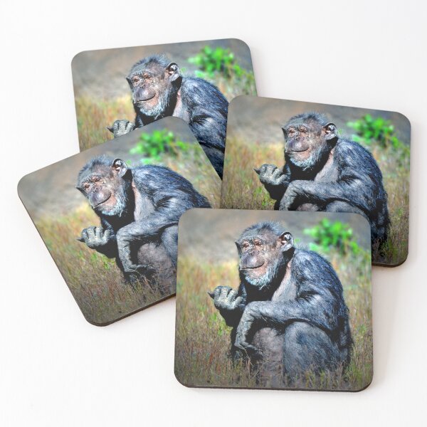 Item preview, Chimp designed and sold by Savannah Gibbs.