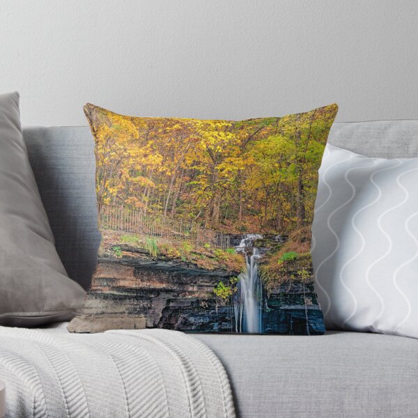 https://ih1.redbubble.net/image.2307928548.4045/throwpillow,small,600x-bg,f8f8f8-c,0,120,600,600.u3.jpg