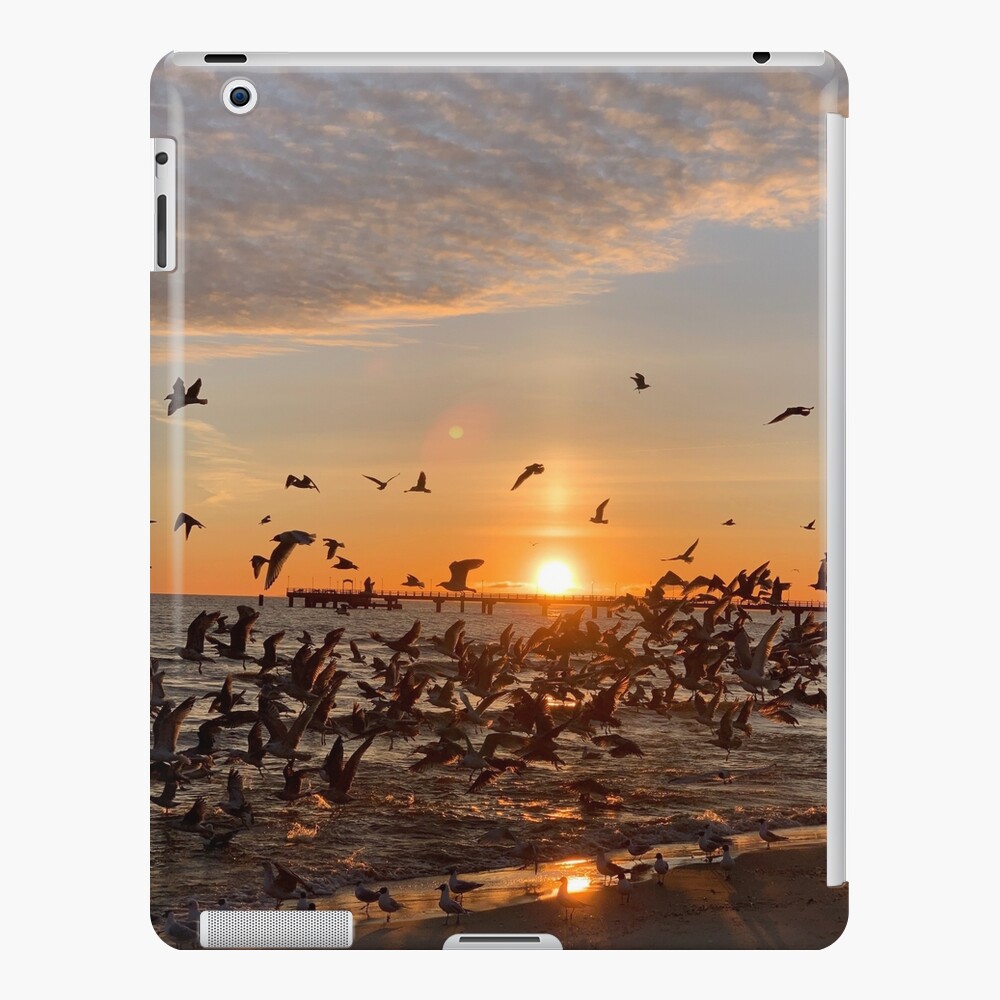 Vogel-Aufgang, Usedom iPad-Hülle & Skin