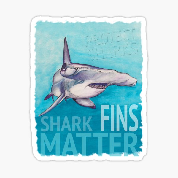 Protect Sharks Sticker