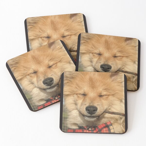 Item preview, Copy of Copy of Pomeranian puppy Kai designed and sold by Fluffycat2020.