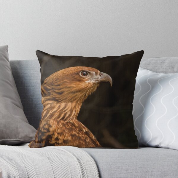 Aperçu de l'œuvre Whistling Kite 2 créée et vendue par Danielle Miner.
