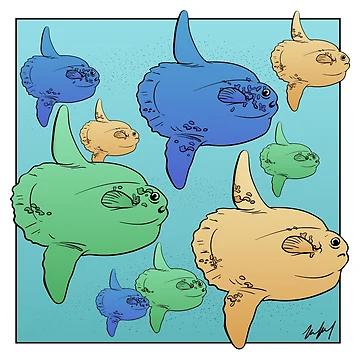 Artwork thumbnail, Colorful Sunfish by eelregularity