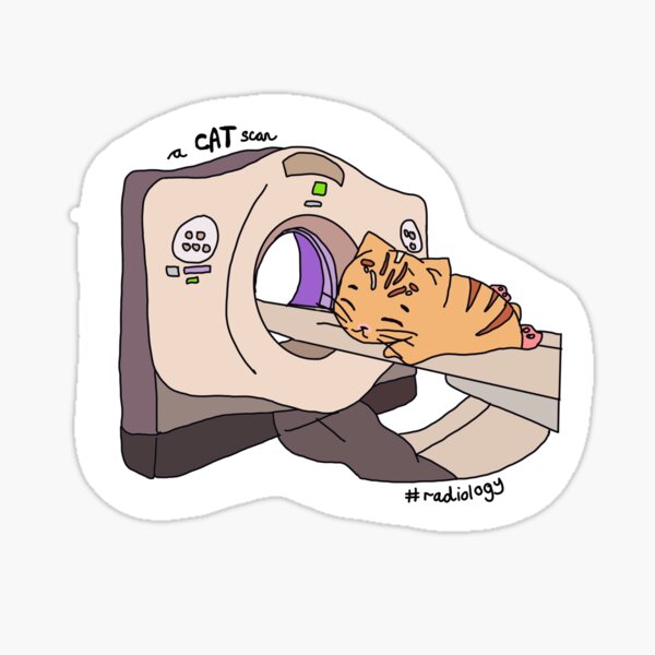 Radiography CAT scan pun - Cute Cat Medical Scan Sticker