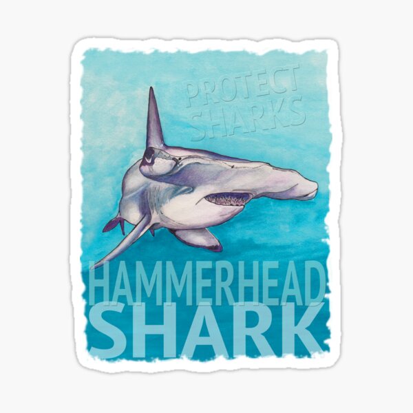 Hammerhead Shark Sticker