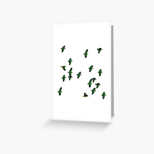 Item preview, Flock of Red-crowned Parrots (Amazona viridigenalis) - Texas Threatened Bird designed and sold by Juliet Whitsett.