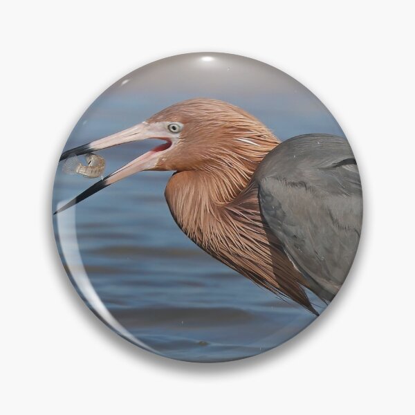 Item preview, Fresh Catch! designed and sold by Anthony Goldman.