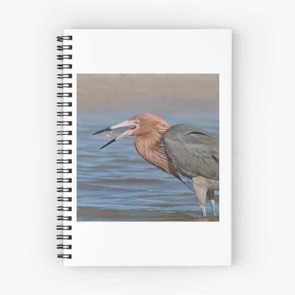 Item preview, Fresh Catch! designed and sold by Anthony Goldman.