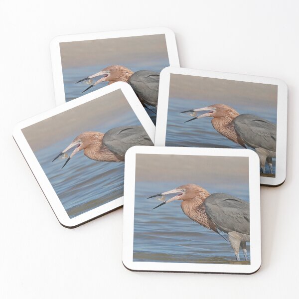 Item preview, Fresh Catch! designed and sold by Anthony Goldman.