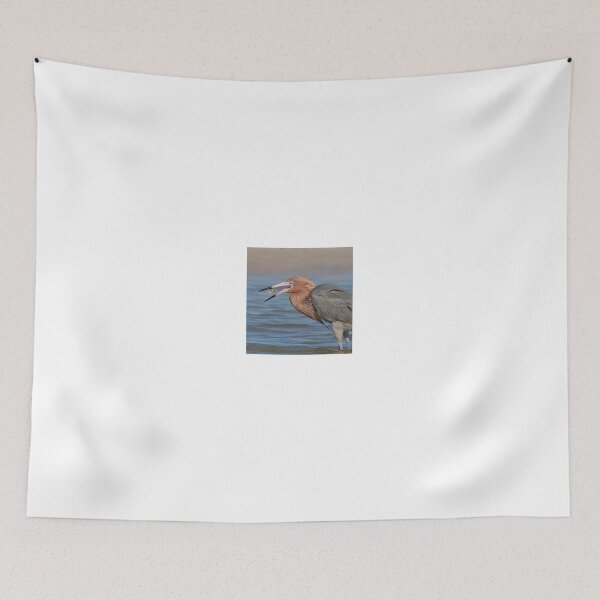 Item preview, Fresh Catch! designed and sold by Anthony Goldman.