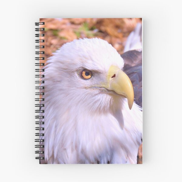 Item preview, Resting Eagle designed and sold by What I See by Dawne.