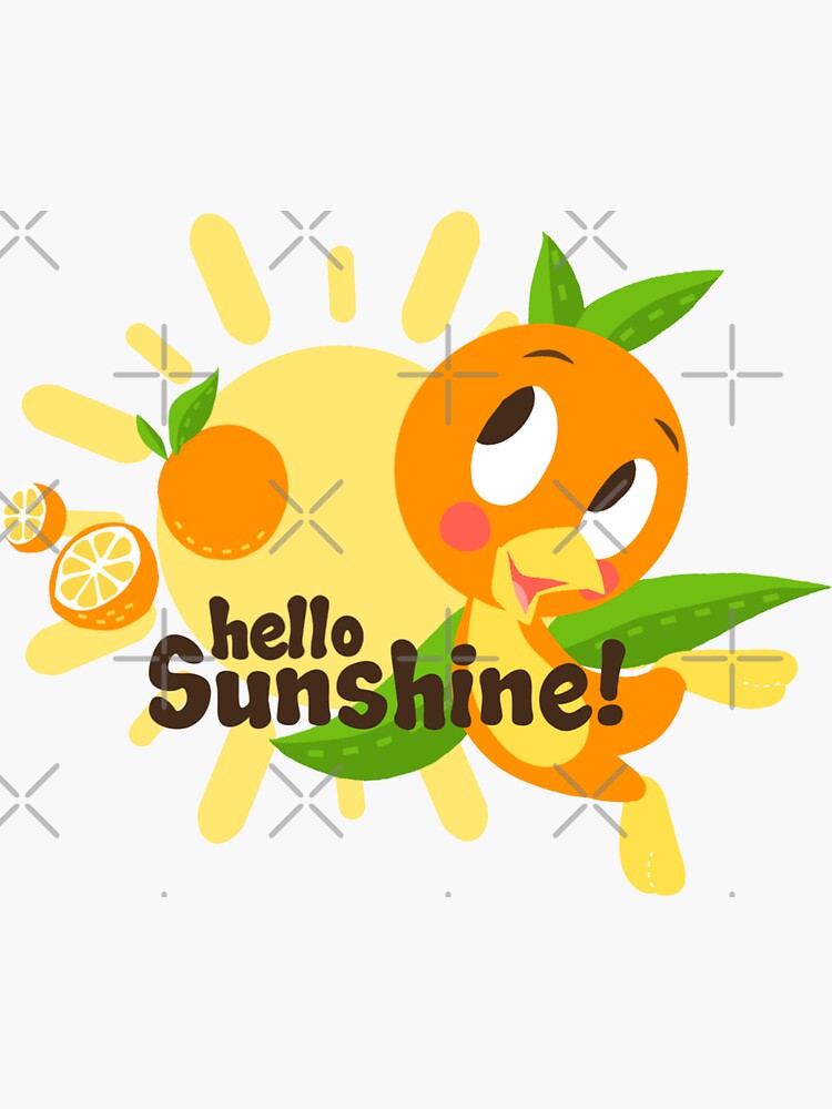 Hello Sunshine Florida Pullover Hoodie Hello Sunshine Florida Pullover Hoodie