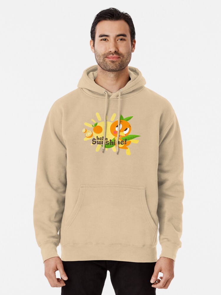 Hello Sunshine Florida Pullover Hoodie Hello Sunshine Florida Pullover Hoodie
