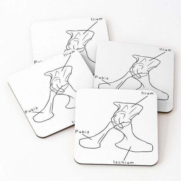 Item preview, Alligator Pelvis (Labeled) designed and sold by peltigaan.