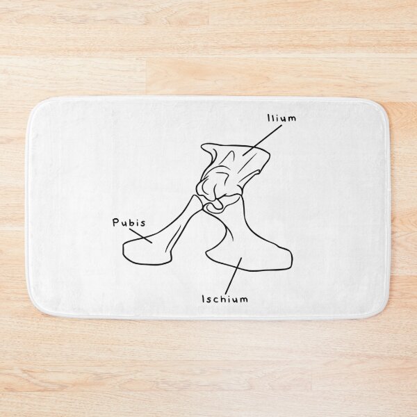Item preview, Alligator Pelvis (Labeled) designed and sold by peltigaan.
