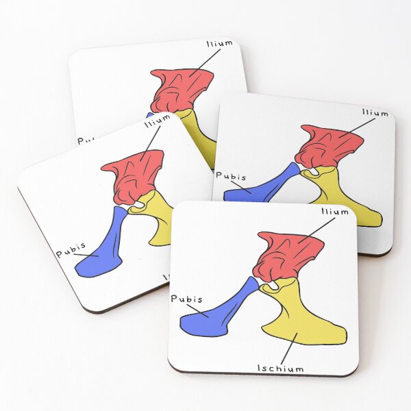 Item preview, Alligator Pelvis (Colored & Labeled) designed and sold by peltigaan.