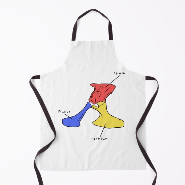 Item preview, Alligator Pelvis (Colored & Labeled) designed and sold by peltigaan.