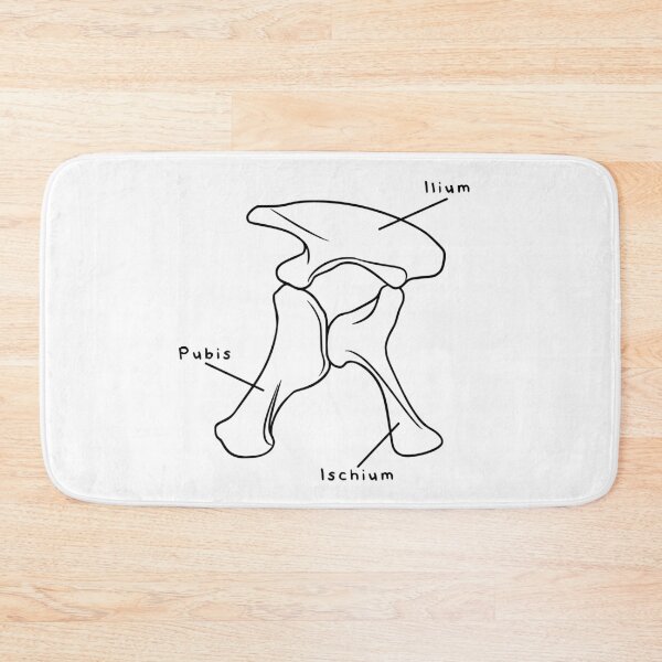 Item preview, Apatosaurus Pelvis (Labeled) designed and sold by peltigaan.