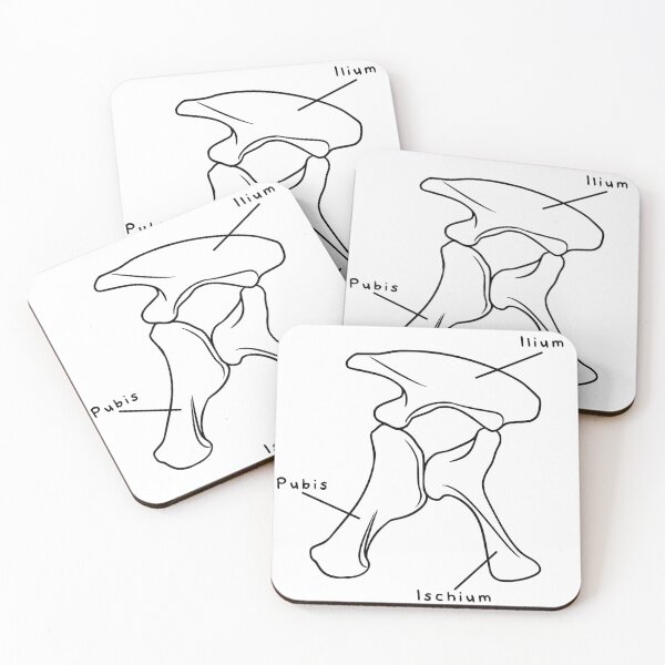 Item preview, Apatosaurus Pelvis (Labeled) designed and sold by peltigaan.