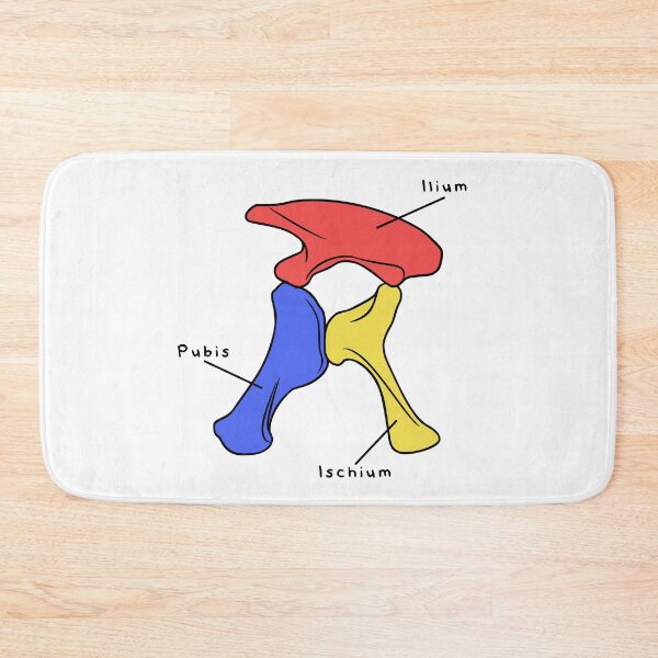 Item preview, Apatosaurus Pelvis (Colored & Labeled) designed and sold by peltigaan.